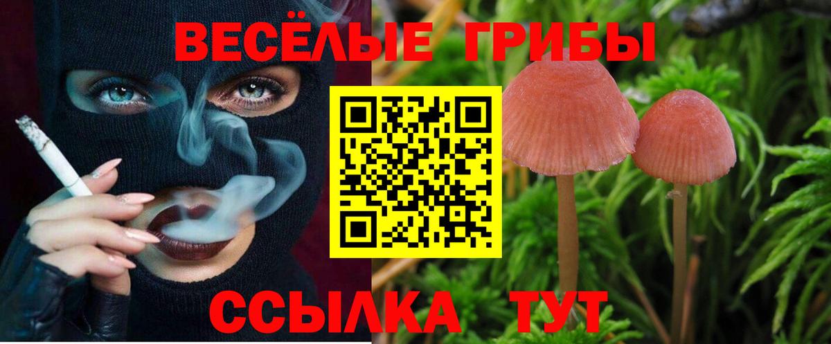Галлюциногенные грибы ЛСД  Галлюциногенные грибы MAGIC MUSHROOMS  Наро-Фоминск  Вход с VPN 